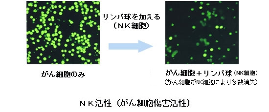 NK細胞の効果